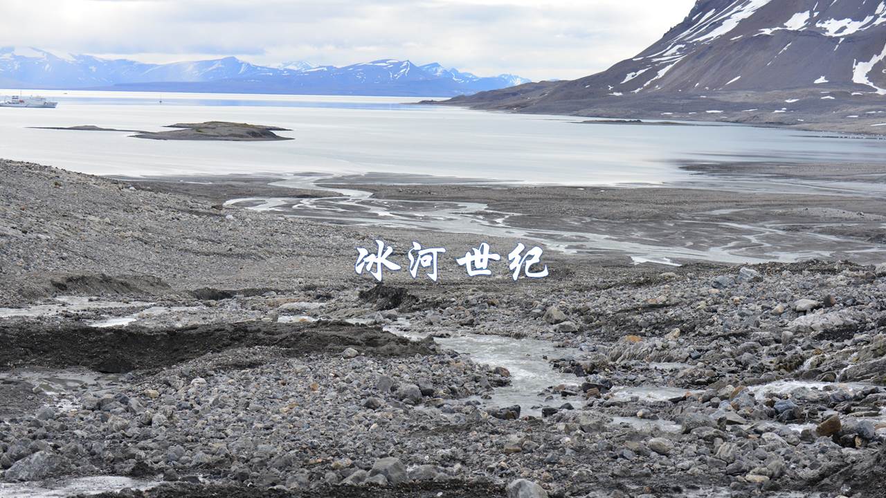 小小志愿者之花在北极绽放之壮丽的冰川